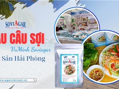 Rau Câu Sợi Vũ Minh Soviagar - Tinh Hoa Đặc Sản Hải Phòng